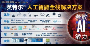 深化創(chuàng)新合作 英特爾加速人工智能應(yīng)用軟件開發(fā)新進(jìn)程